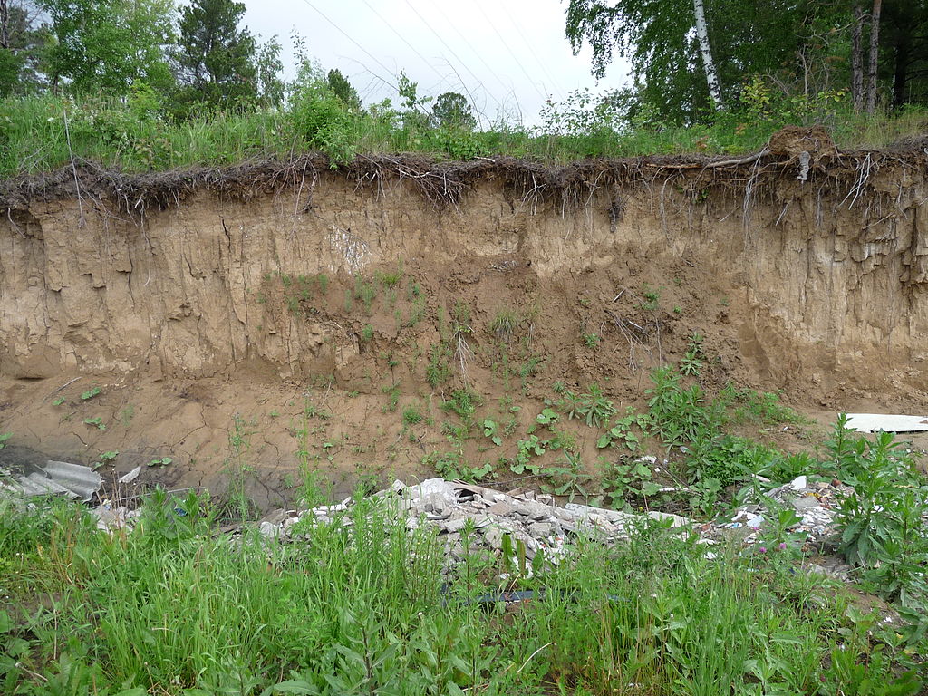 How do you stop soil erosion?