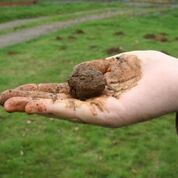 ball of moist soil in the palm of a person's hand