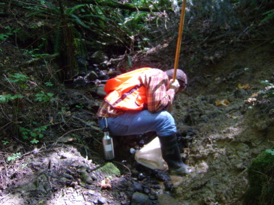 person sampling water from a creek