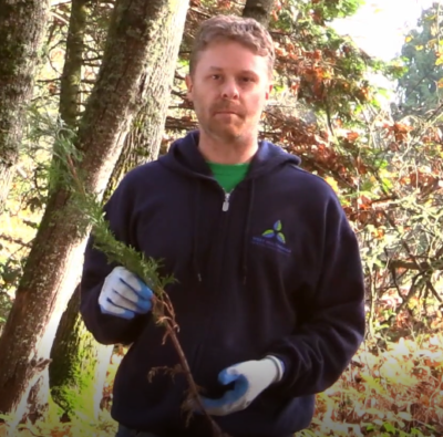man holding a tree seedling