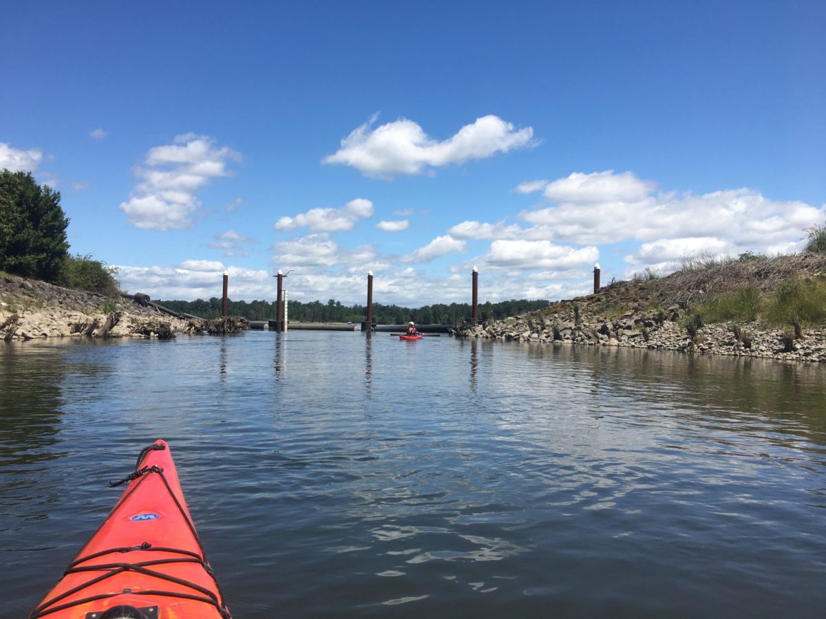 view of a creek from a kayak