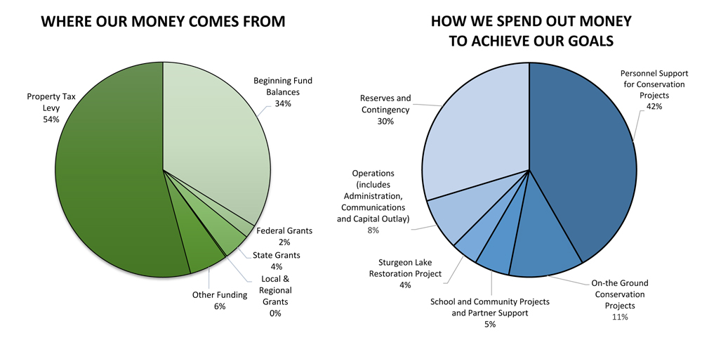 two pie charts