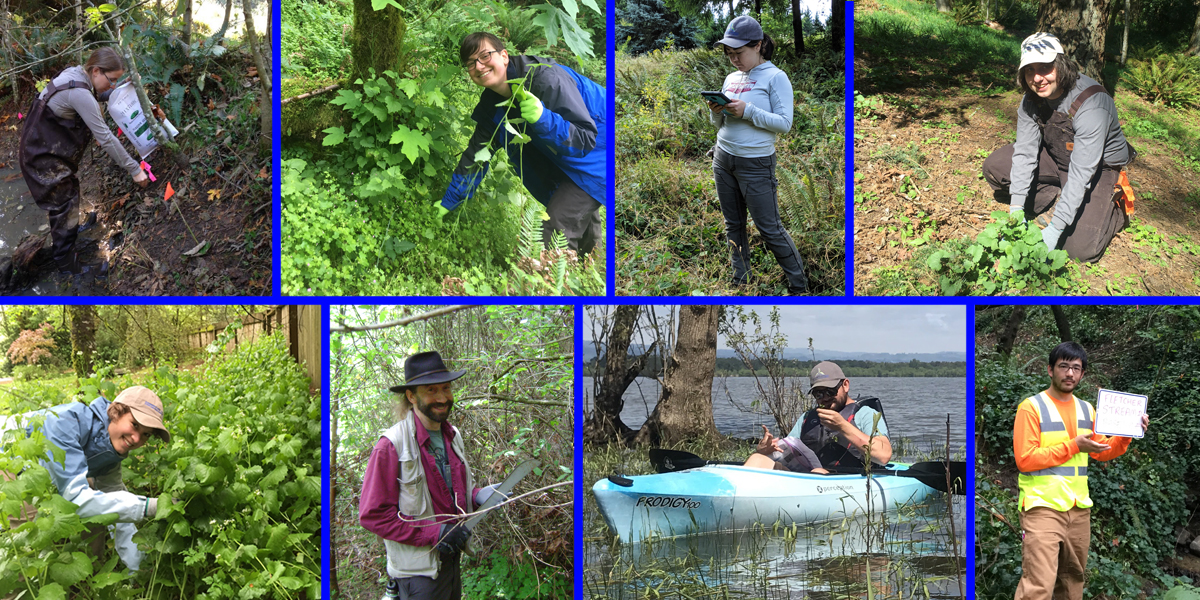 photo collage of 8 people doing different outdoor conservation activities like pulling weeds and recording data