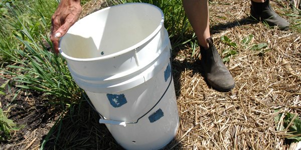 white bucket with holes in sides next to person's feet