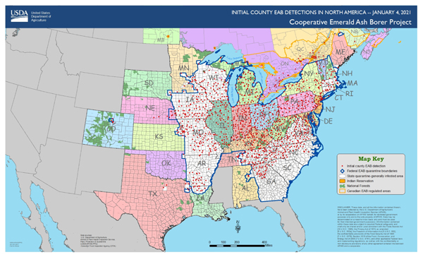 U.S. map with states colored in and red dots marking location of EAB detections