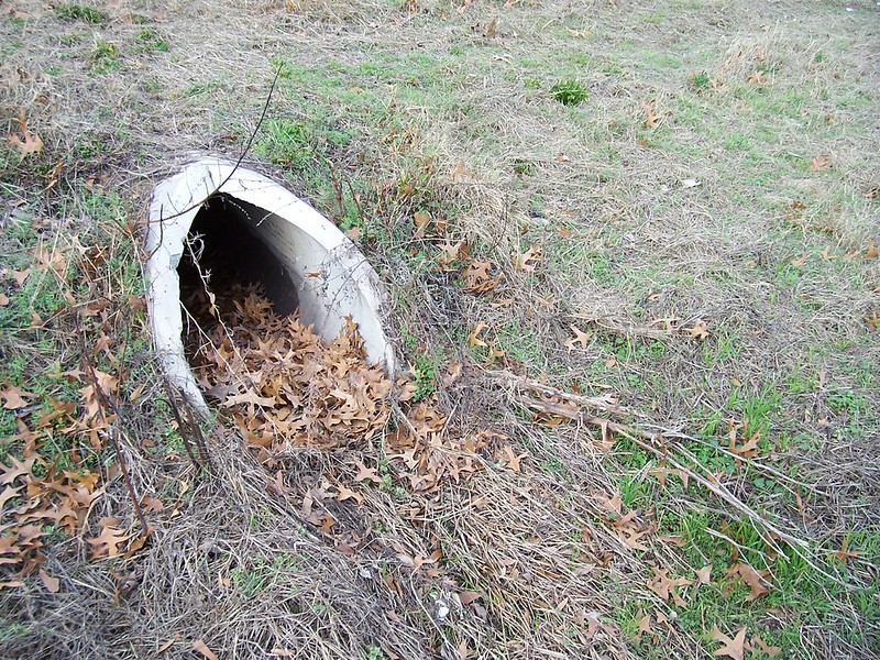 Brown leaves clog a culvert on a hillside
