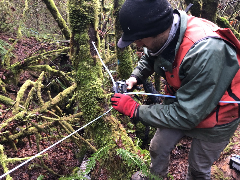 a person in the forest connecting blue tubing