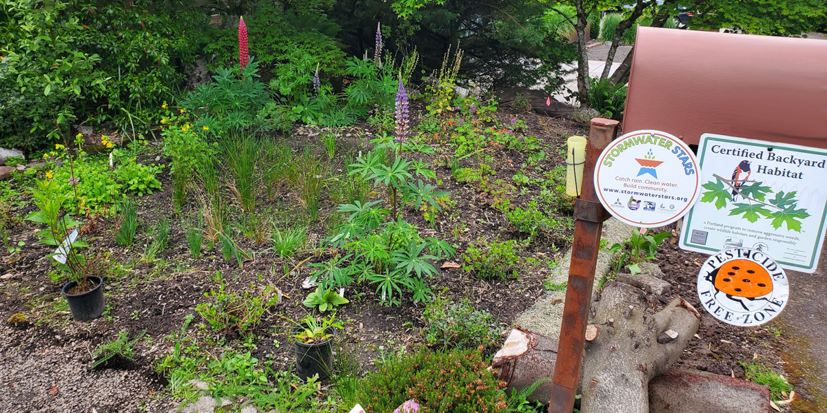 garden plot with many different plants near a mailbox