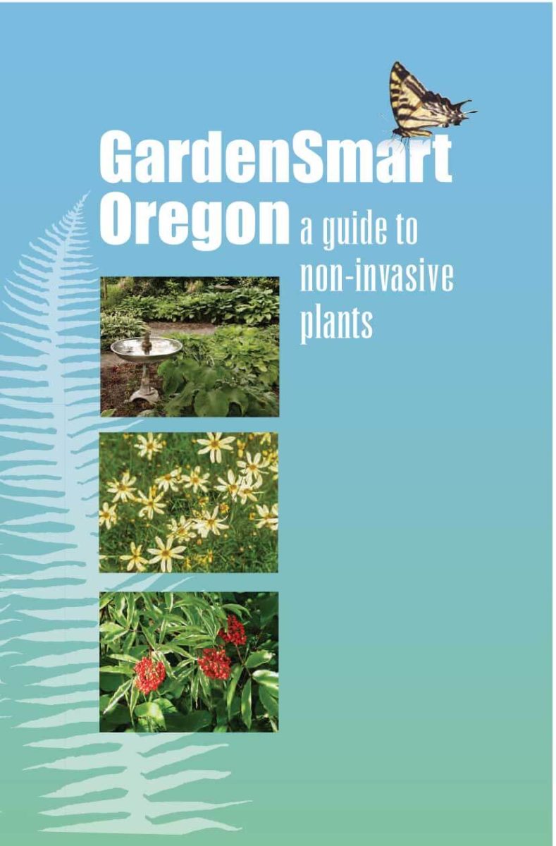 Garden Smart Oregon: A Guide to Non-Invasive Plants