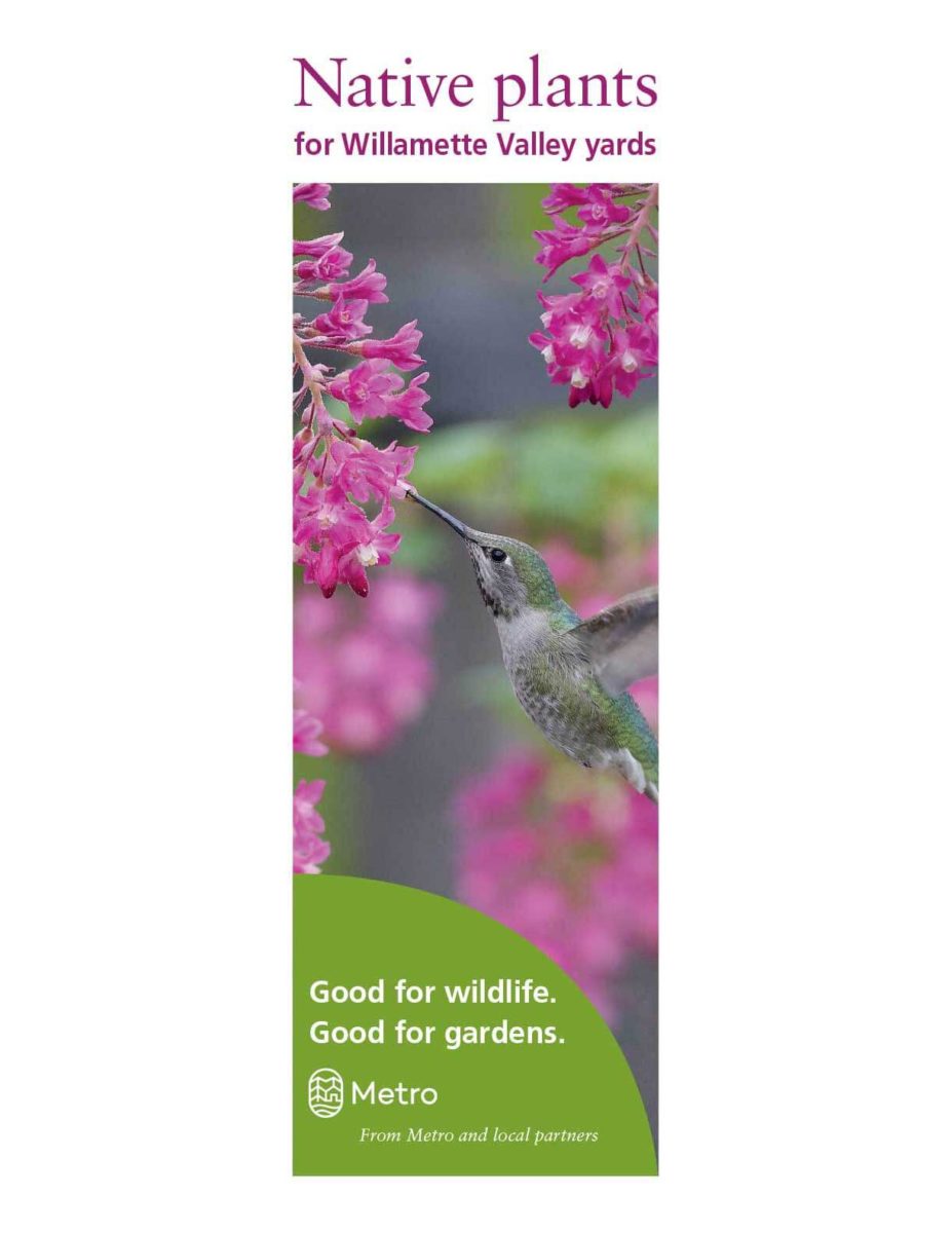 Native plants for Willamette Valley yards