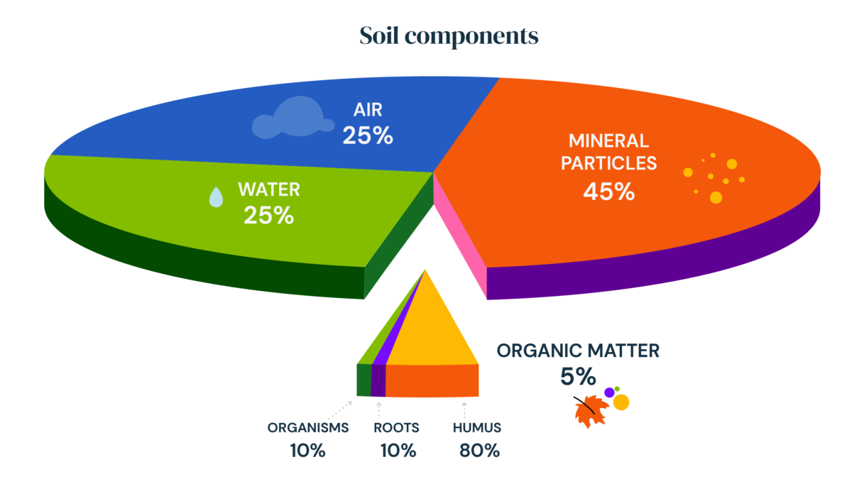 Soil visual data 4