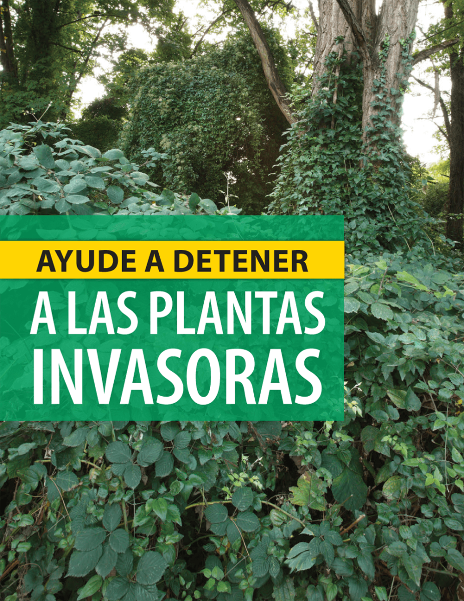 Help Stop Invasive Plants (poster, Spanish)