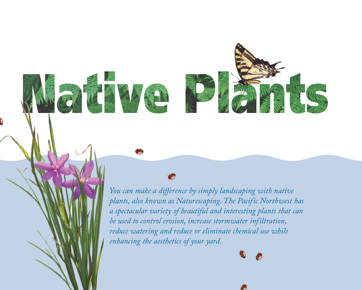 Native Plants (poster, English)