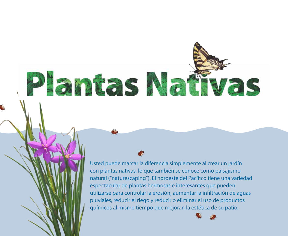 Cover of Native Plants Publication (Spanish)