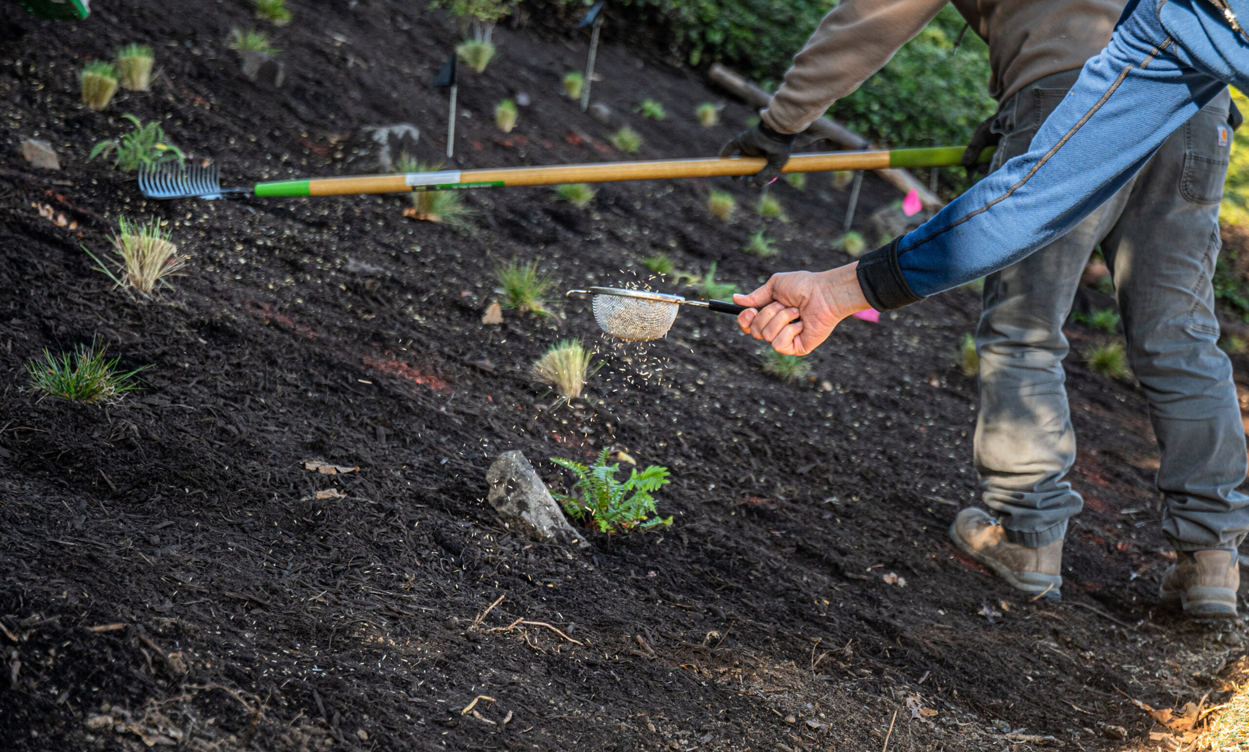 Actions you can take to reduce the impacts of climate change West