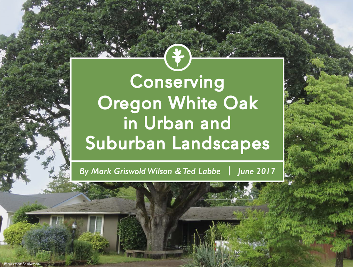 Conserving Oregon White Oak in Urban and Suburban Landscapes