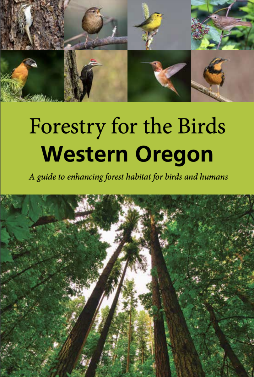 Forestry for the Birds