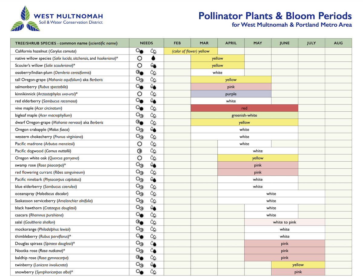 Pollinator Plants and Bloom Periods