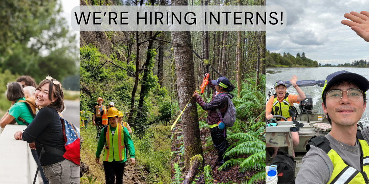 A collage of 4 intern photos, with each looking at the camera or working in the forest.