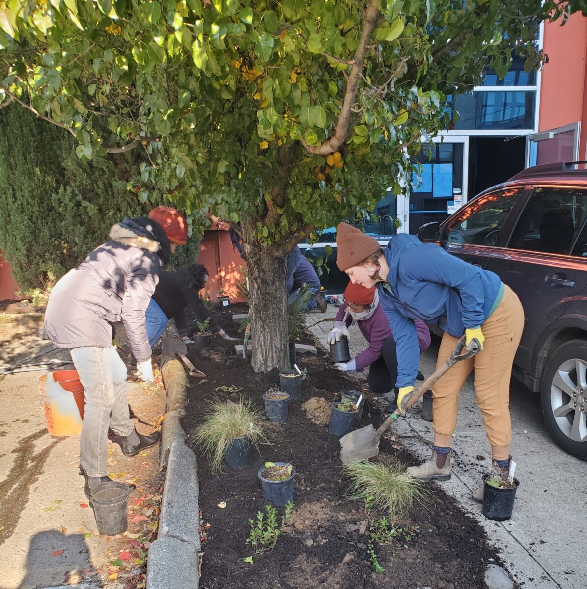 Community members plant a small garden under a tree.