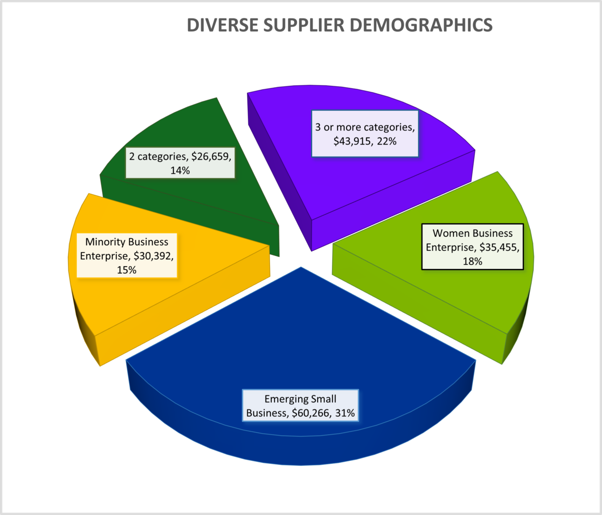 Diverse supplier demographics pie chart with 5 sections. Details in caption.