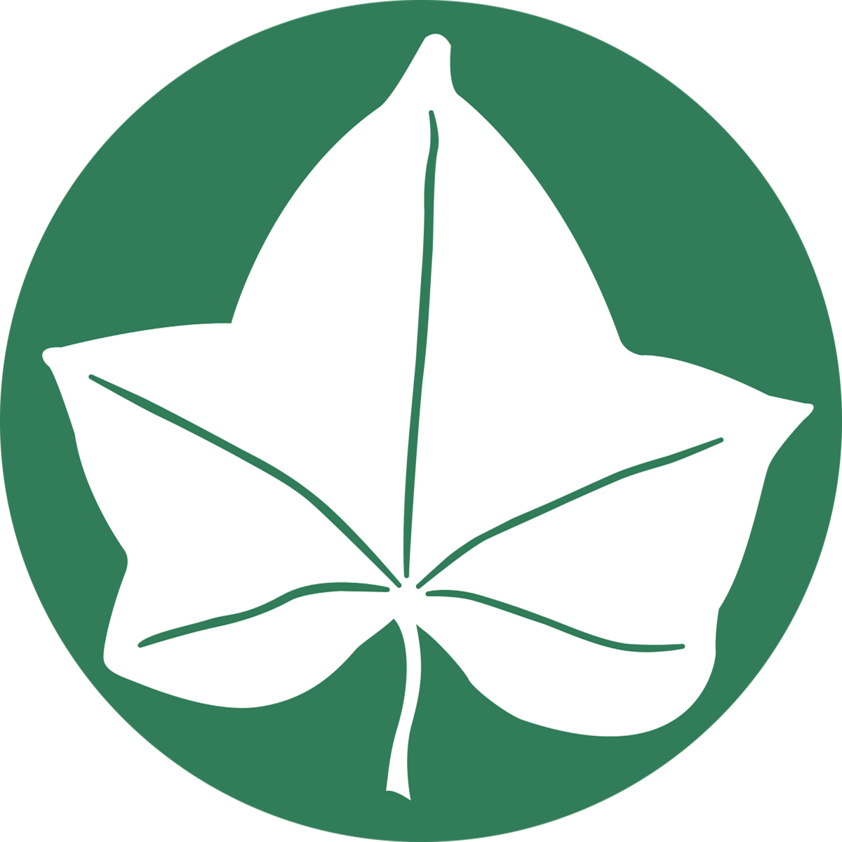 illustration of a leaf on a dark green background