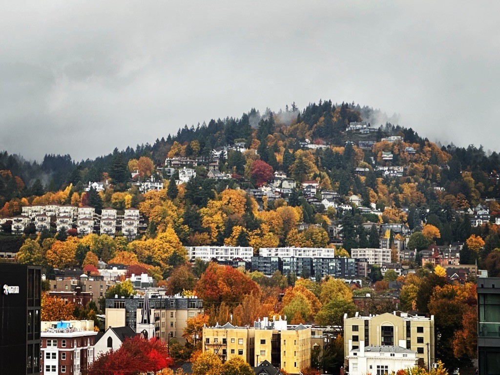 Downtown Portland in west hills with buildings and fall leaves