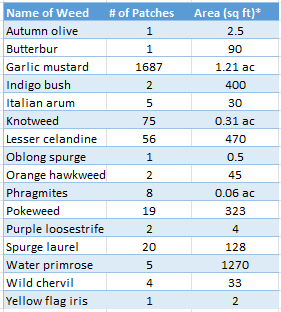 Table that shows name of weed and number of patches and amount of area the patches took up.