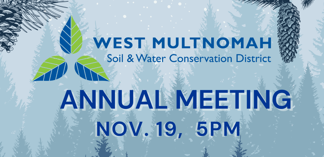 Snowy blue background with our logo and "Annual Meeting" and the date 11/19 at 5pm