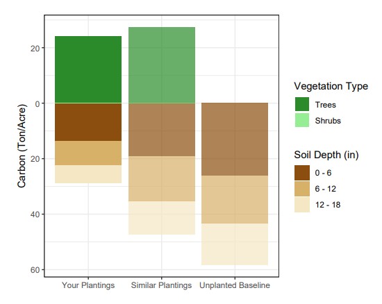 a graph with bars in brown, green, and beige that shows the carbon stores in our projects compared to the baseline.