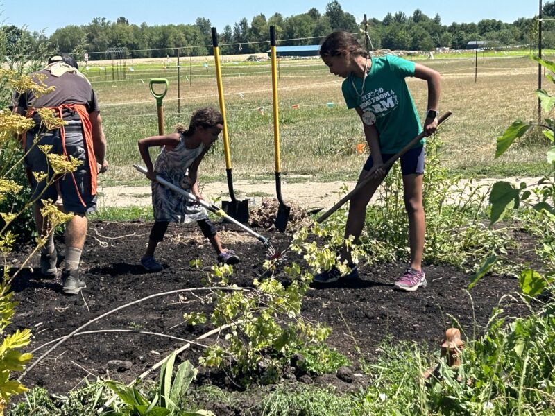 Two young girls using garden tools on a garden spot in the summer at Sauvie Island Center