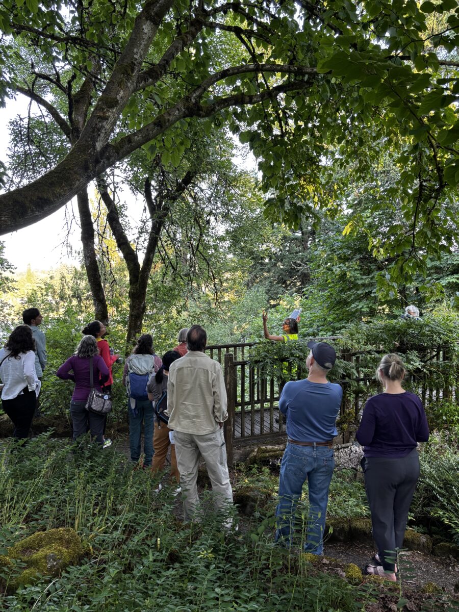 person in yellow vest pointing up at tree leaves while about 10 people look on