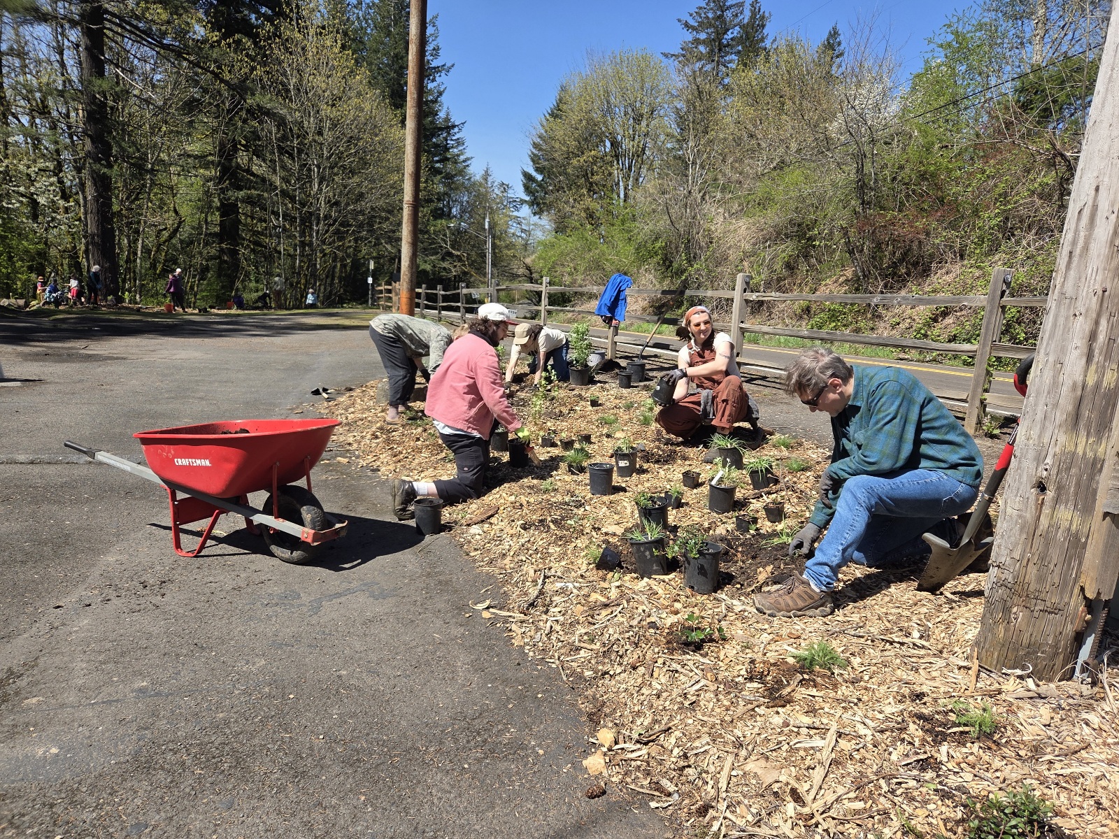 Three people kneel planting in the sun by a road