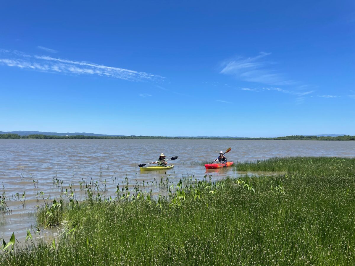 two people kayaking far away on a summer day with a clear sky