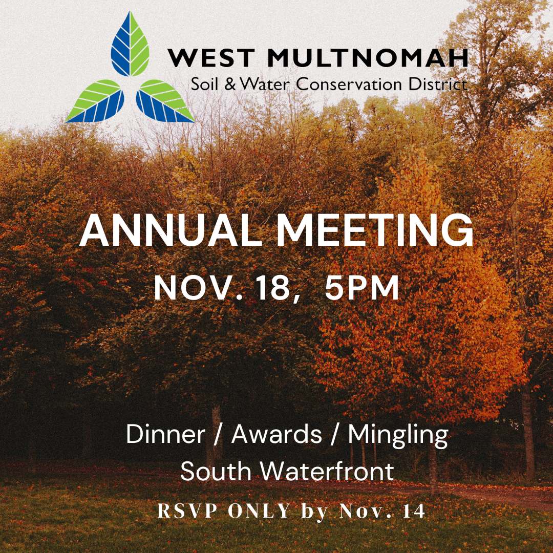 graphic that has fall trees in the background and says Annual Meeting, November 18, 5pm.