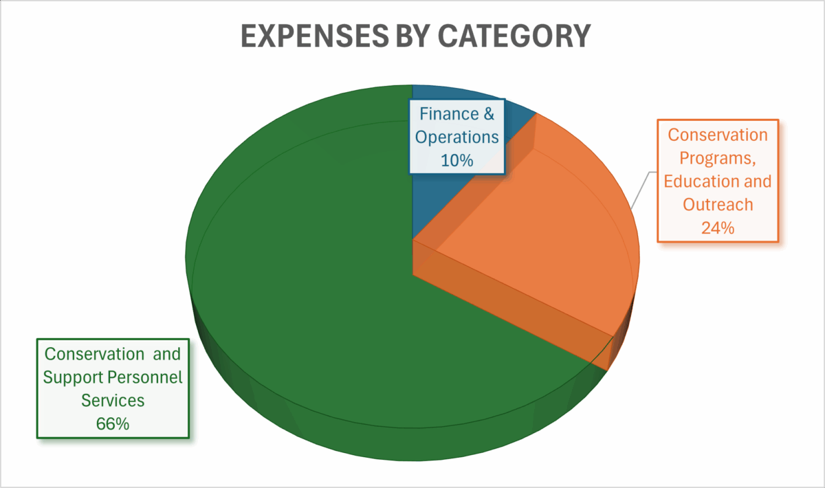 Expenses by category pie chart with green and orange and blue. See description below.