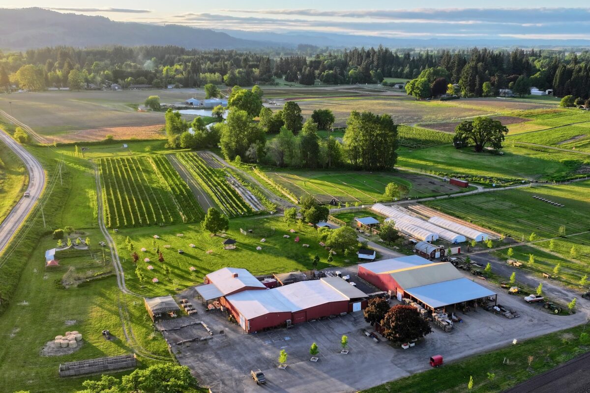 Aerial image of a farm with buildings, parking, and fields.