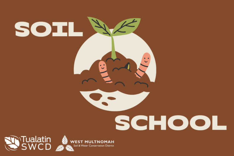 Brown background with cartoon worms and Soil School text overlaid