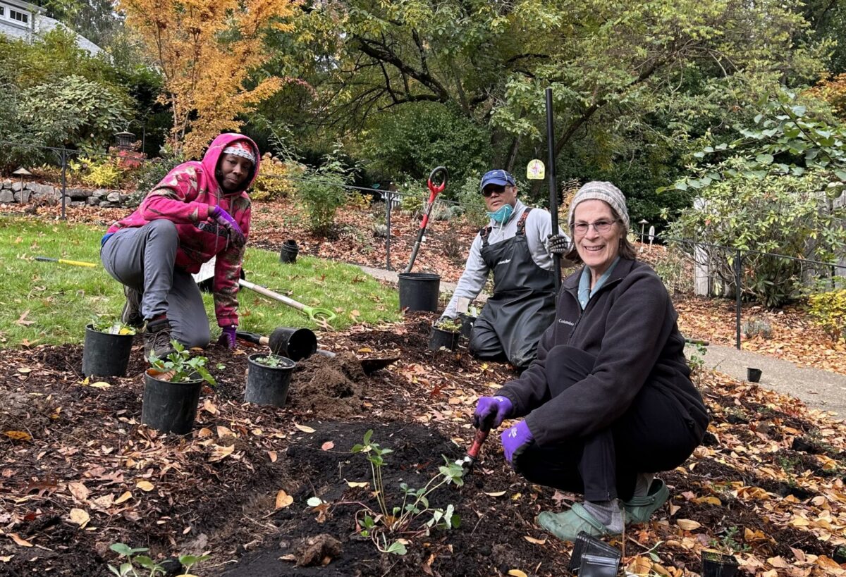 Three smiling people kneel while planting small seedlings.