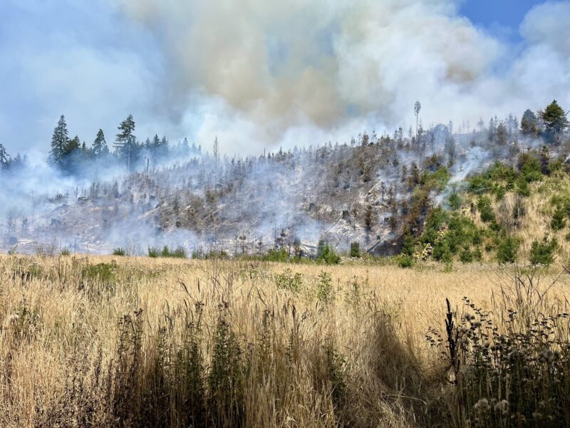 smoke on a hillside