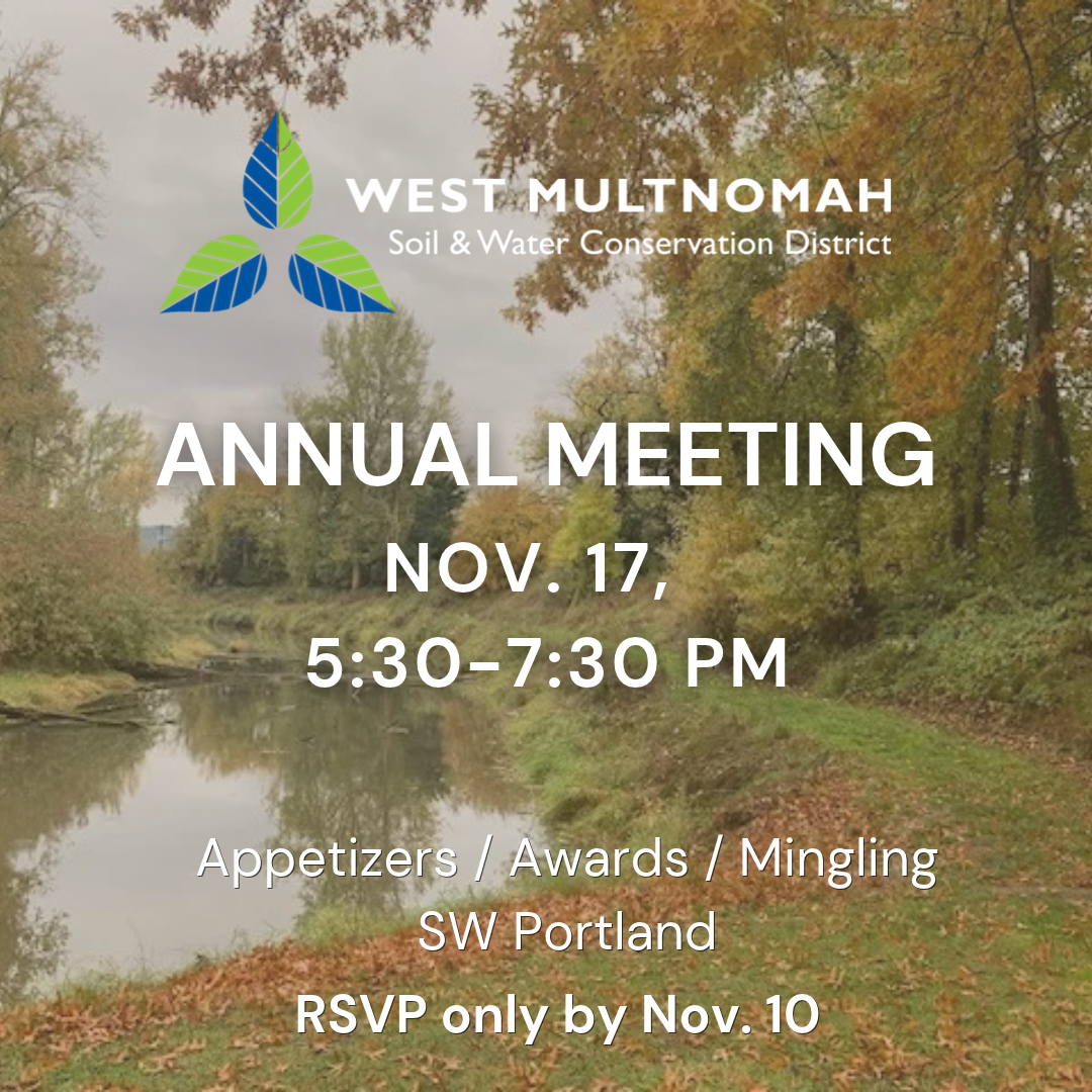 Annual Meeting as text overlaid on a fall scene by a river.