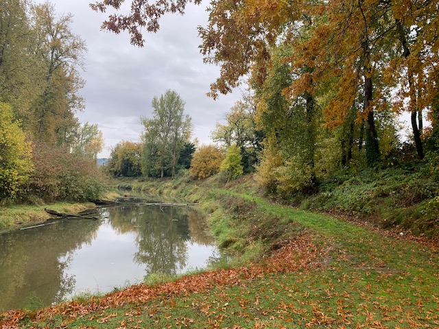 Serene moment with still canal and fall colors on trees