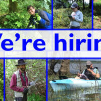 We're hiring text over photo collage of people working in natural settings