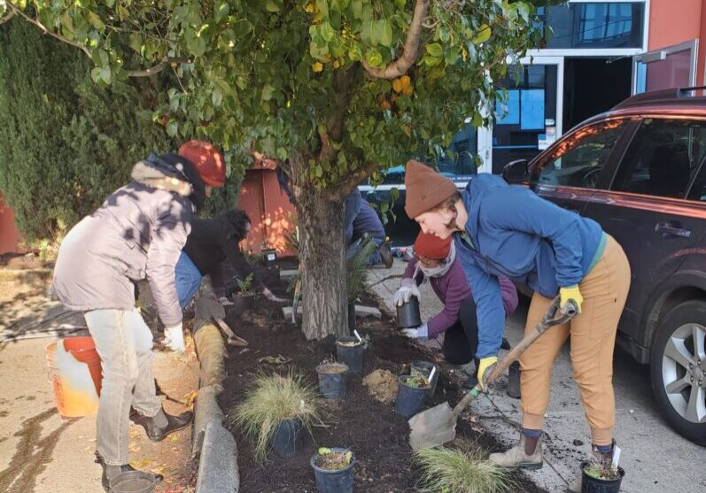 Community members plant a small garden under a tree.