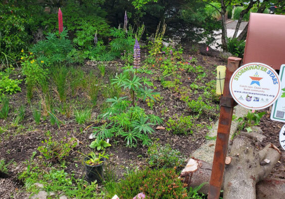garden plot with many different plants near a mailbox