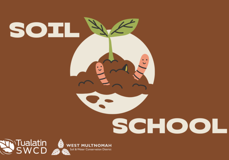Brown background with cartoon worms and Soil School text overlaid