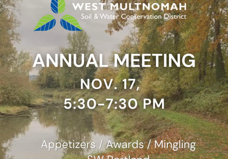 Annual Meeting as text overlaid on a fall scene by a river.