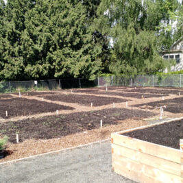 View of new garden bed soil and a raised garden bed