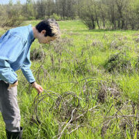 person in field looking down at a plant