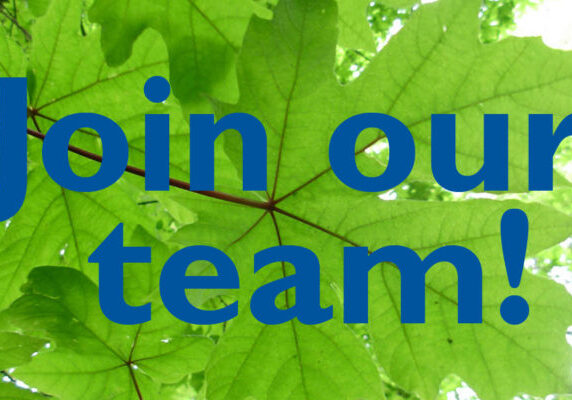 text Join our Team over green maple leaves
